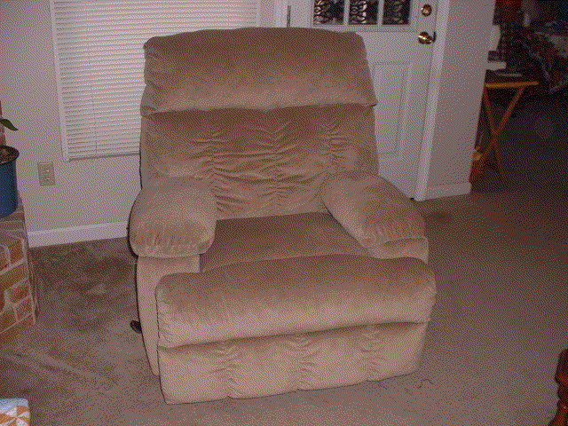 Recliner Picture #1